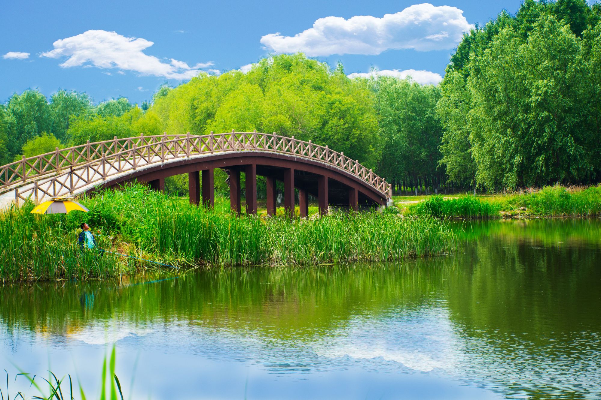 沈阳盛夏季节的风景