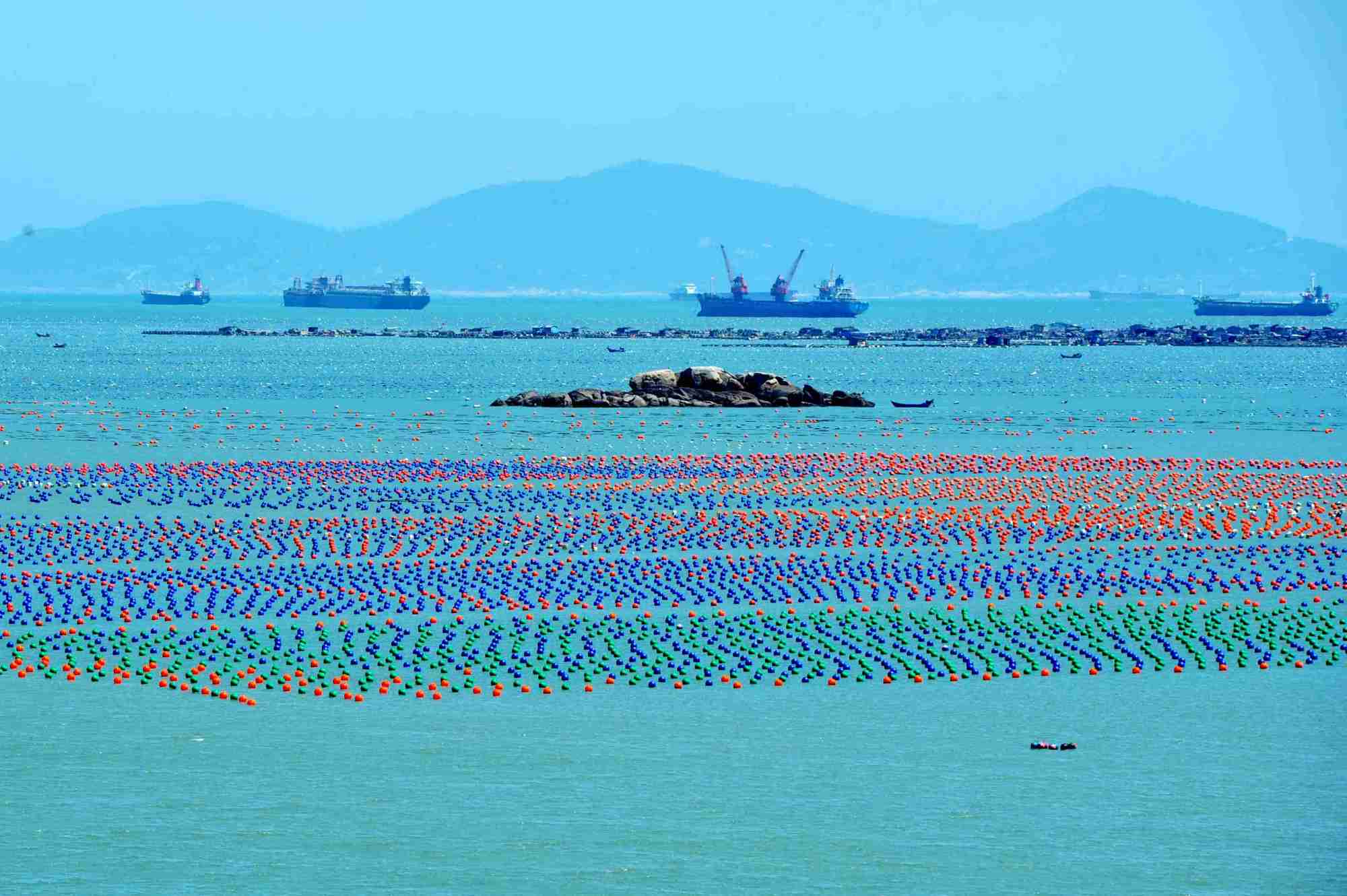 深海网箱：海洋养殖的新征程