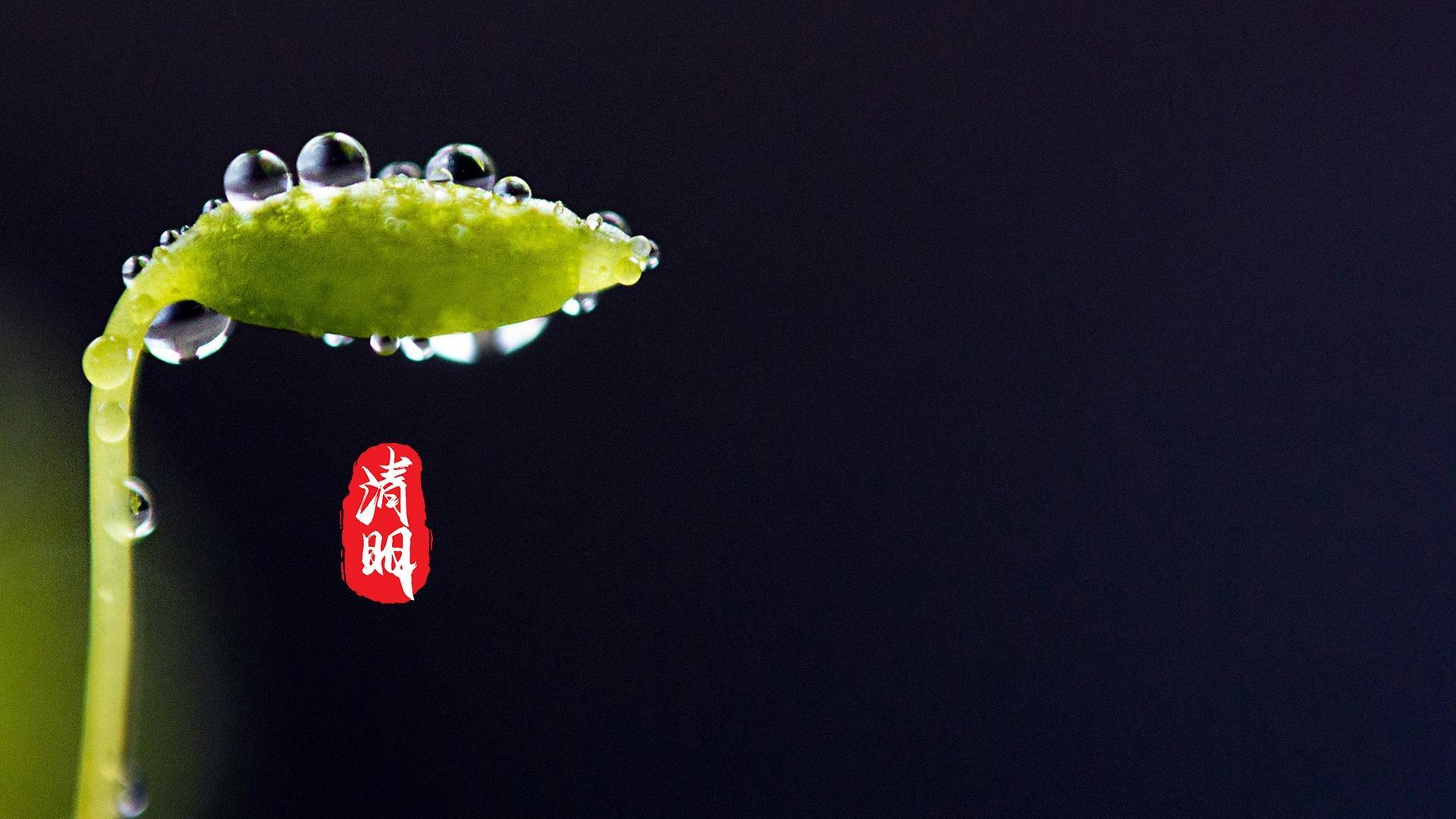 图集:清明节到了,给大家分享一组高清的清明节壁纸,欢迎收藏!