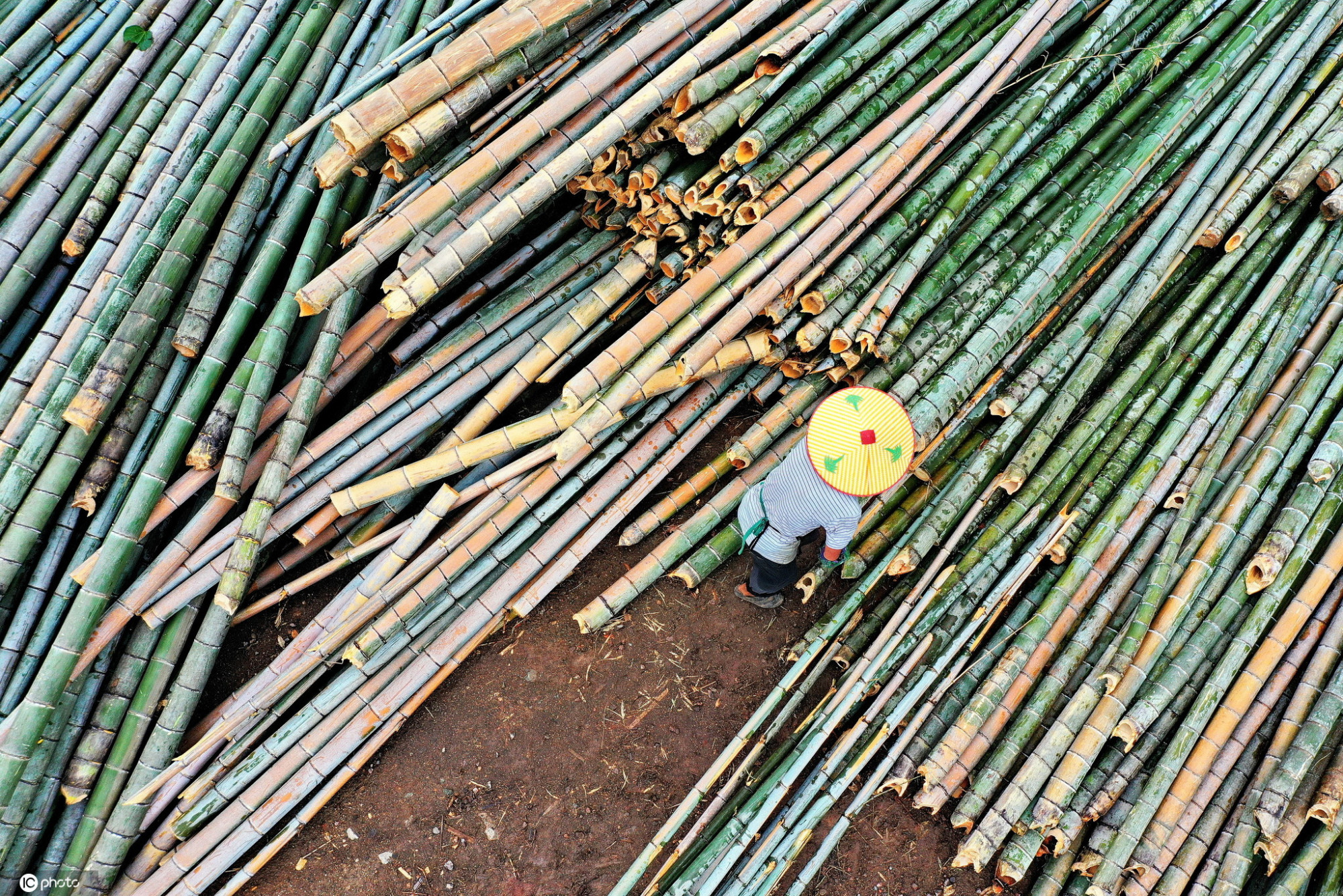 江西会昌利用4万余亩速生毛竹做"竹"产业带动贫困户就业增收