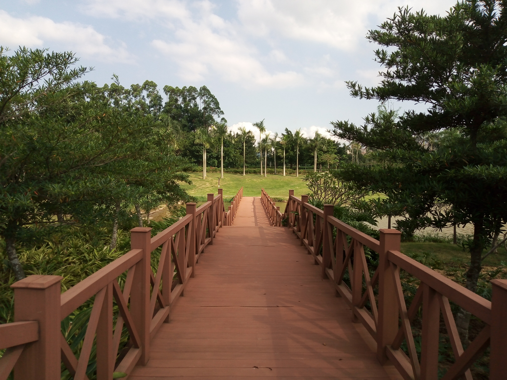 深圳市坪山区聚龙山湿地公园实拍,你们来过这里吗?