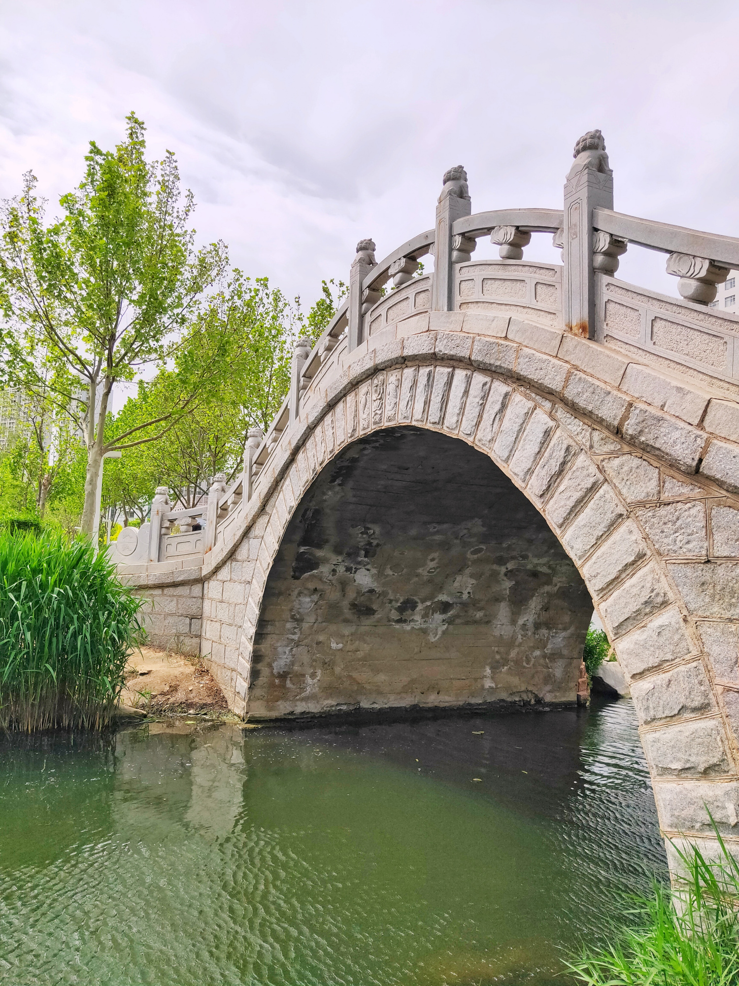 大连金州向应公园