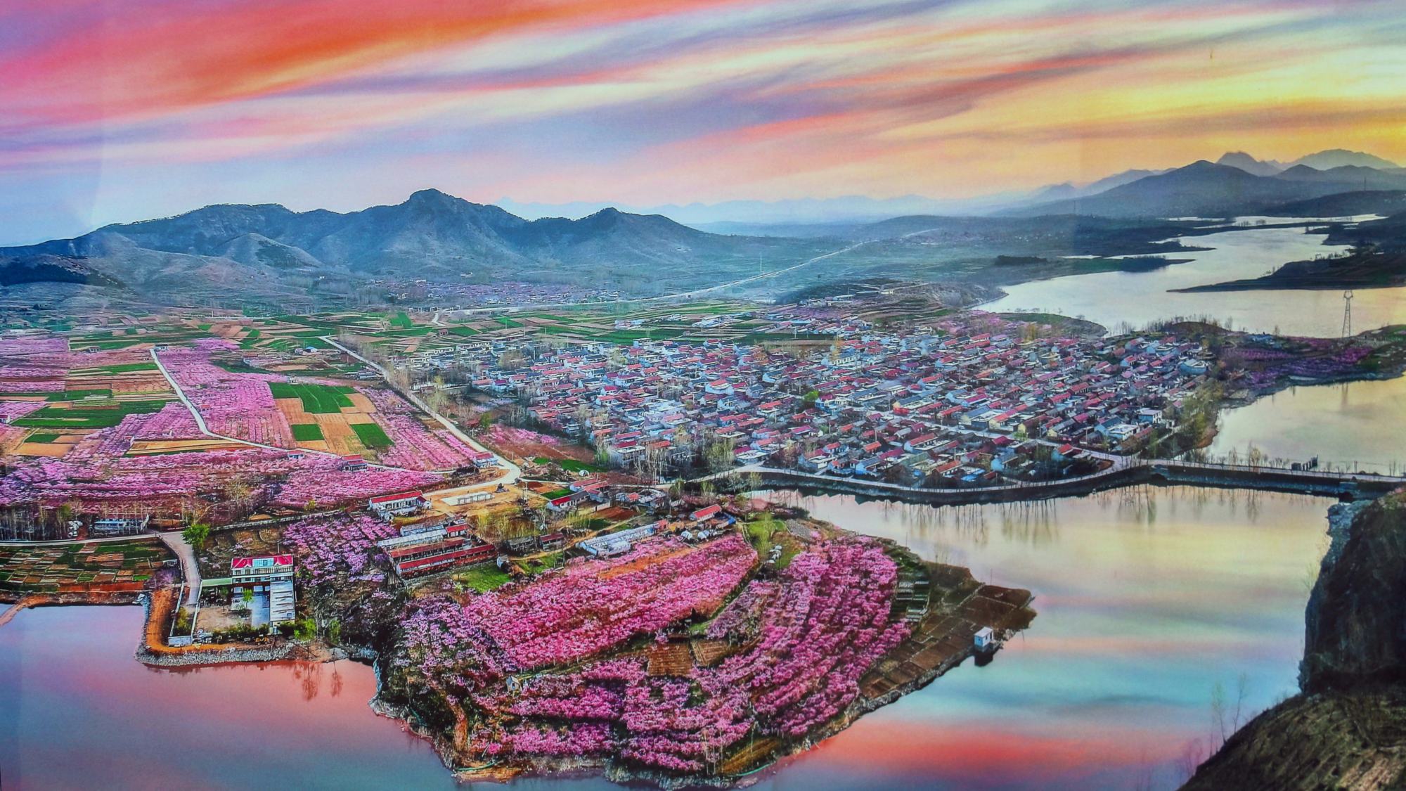 莒南县坊前镇:十里桃花 惊艳春光