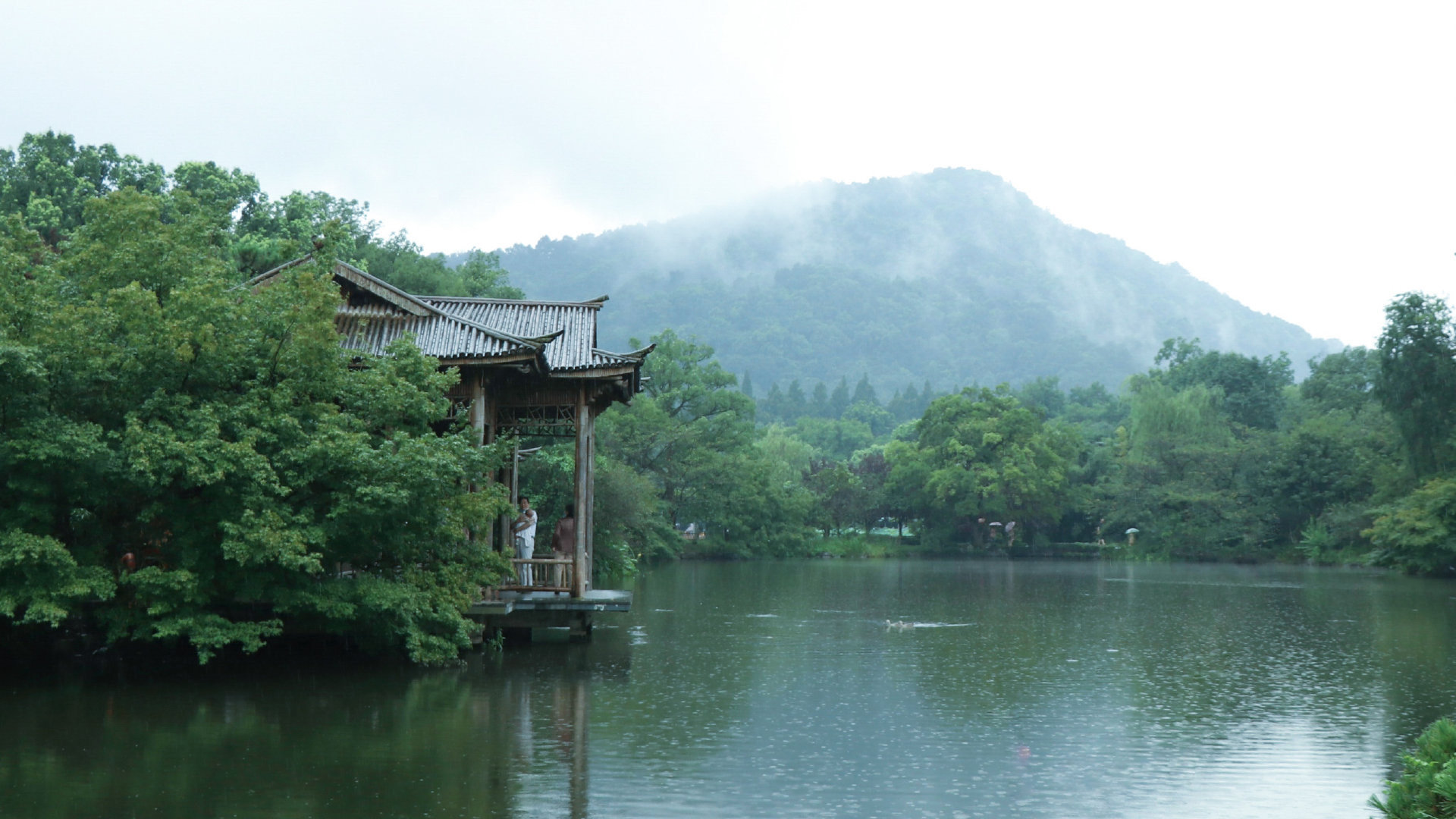 西湖的雨季