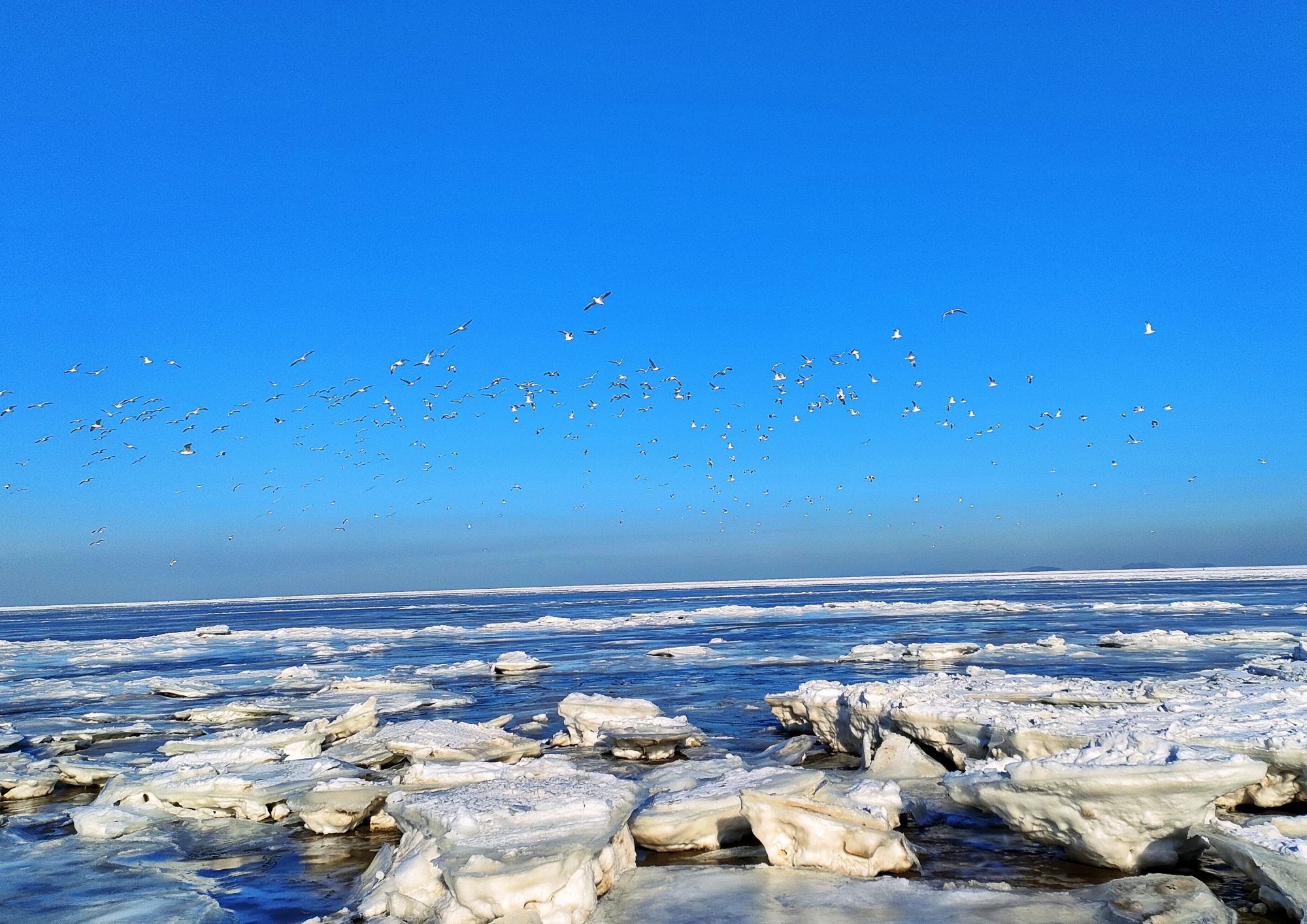 大连渤海海冰
