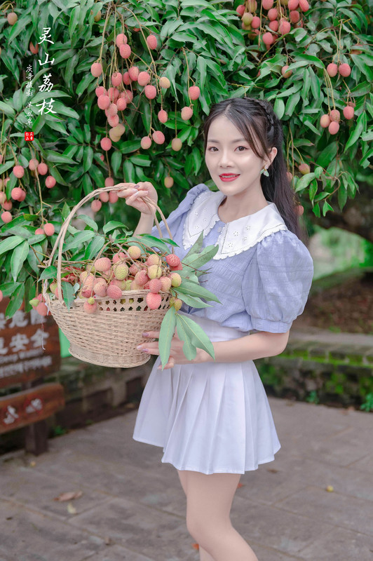 女孩摄影:荔枝丰收的季节