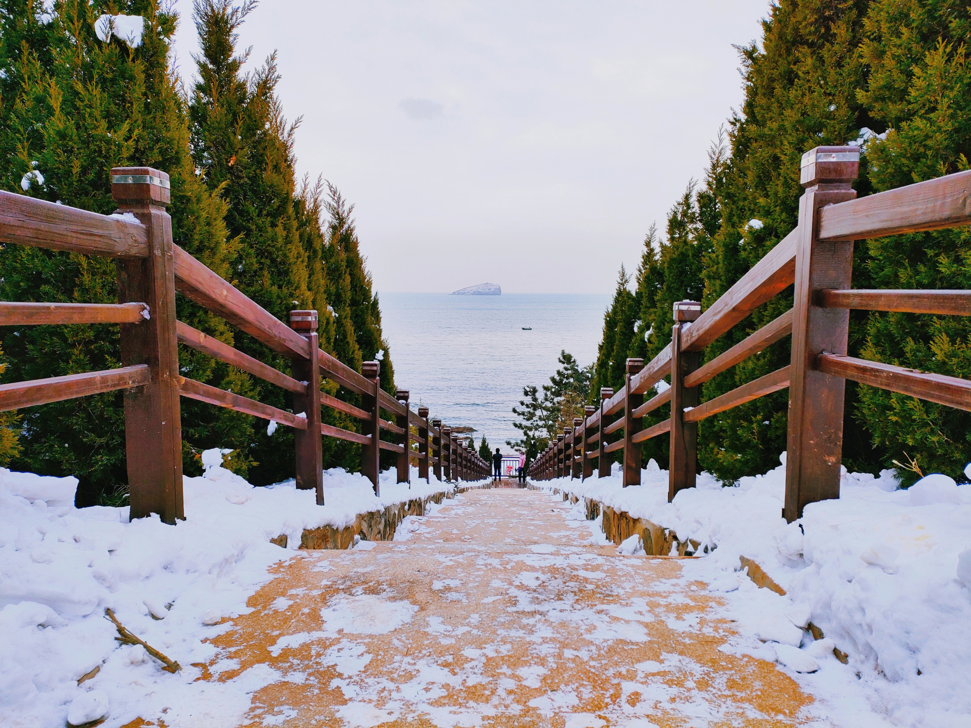 宝藏打卡地,大连七贤岭森林公园