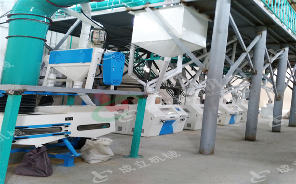 乌兹别克斯坦60吨小麦面粉成套设备