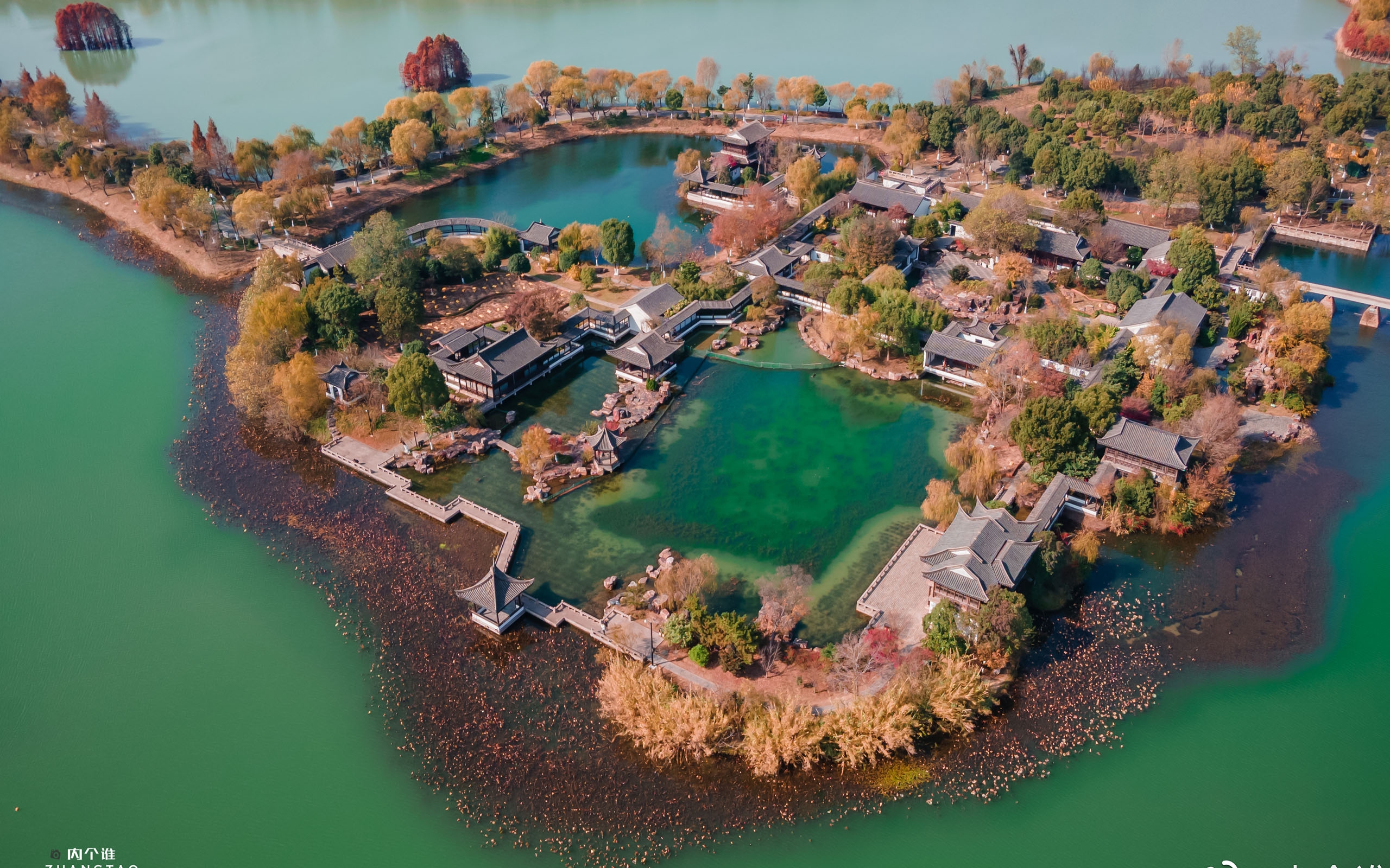 冬日里的尚湖公园美景着实迷人