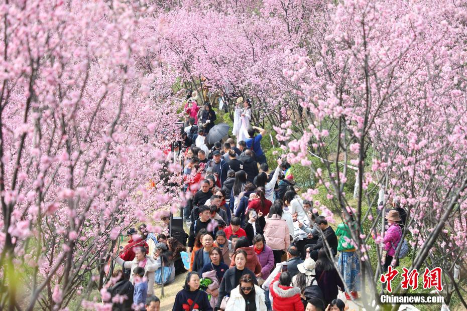 春日山城图片