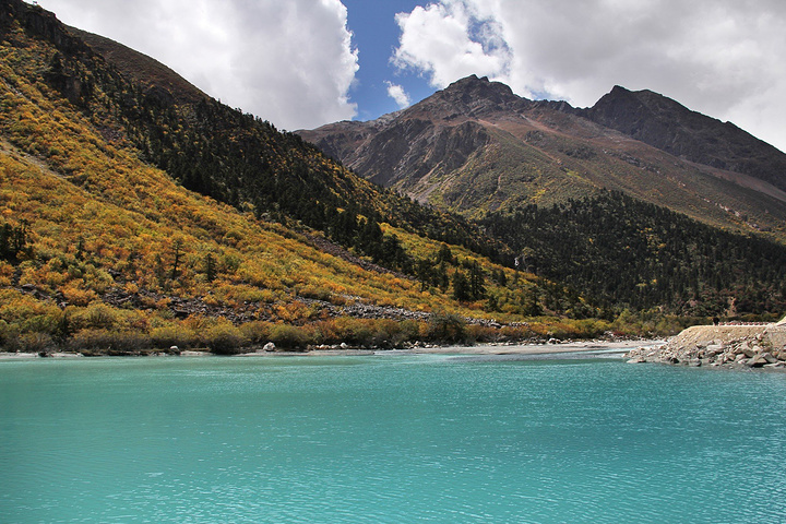 西藏自治区 林芝市 察隅自然保护区