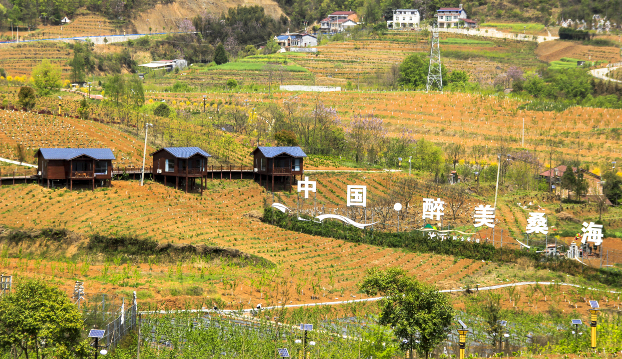 鎏金铜蚕小镇——醉美桑海(陕西石泉)