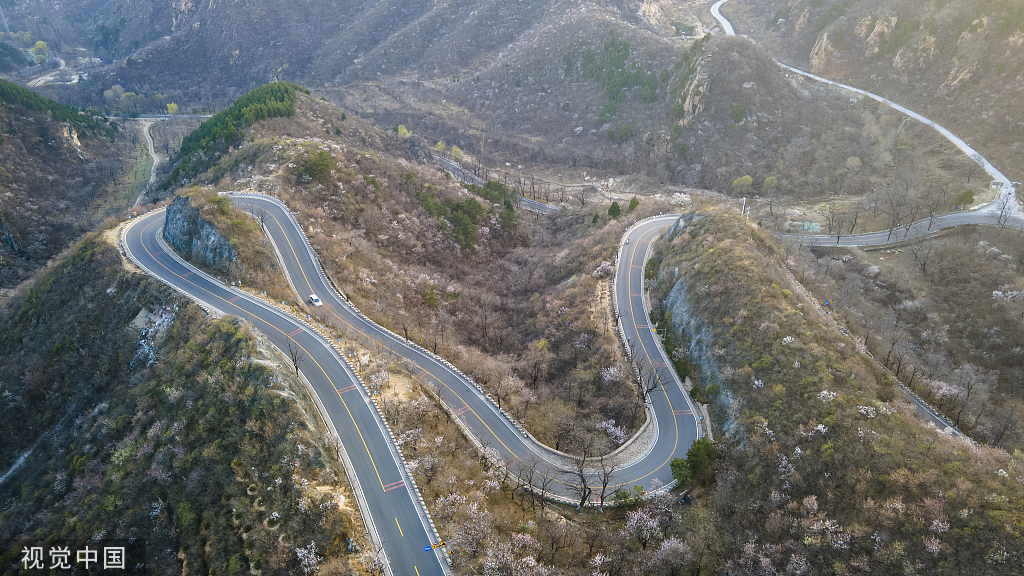 北京:京郊"最美公路"昌赤路繁花似锦 车辆如在花海中行驶
