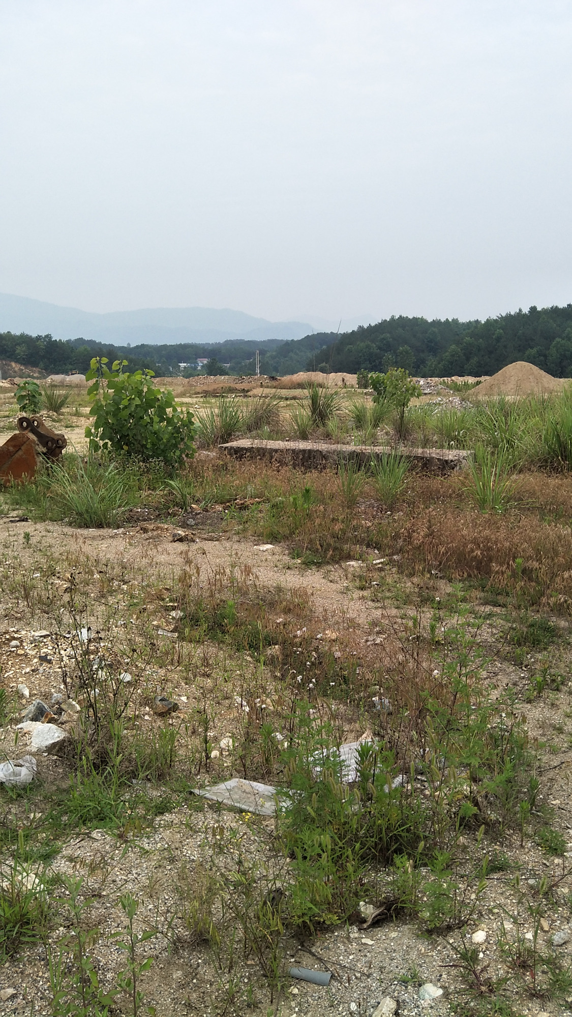 在农村,很多地没人种,成为荒地