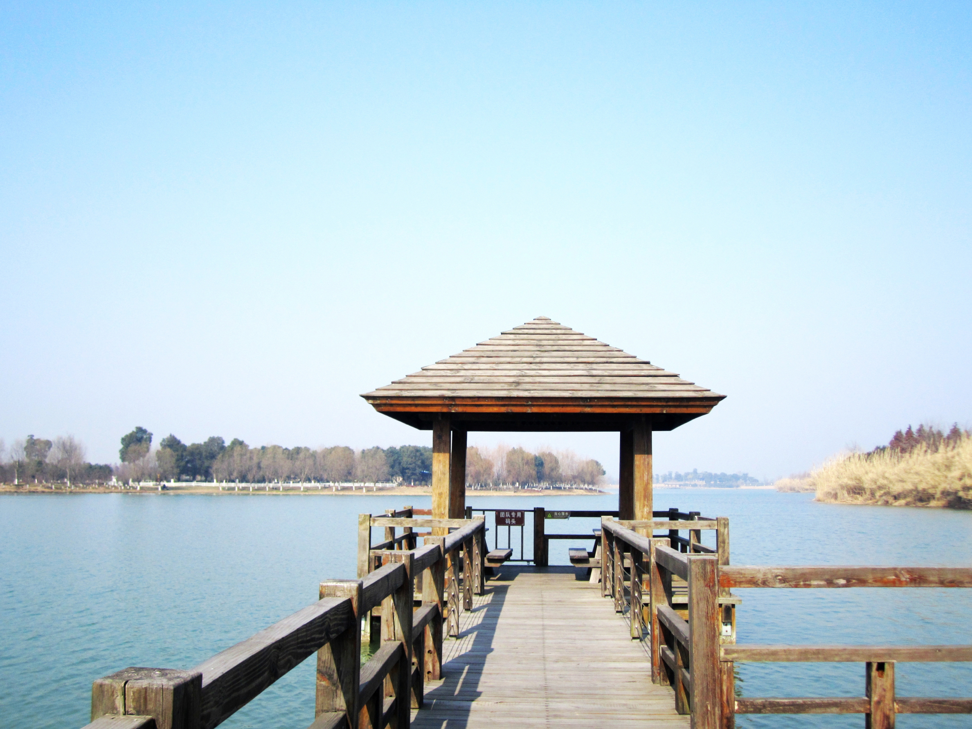 秋天的苏州太湖湿地公园,是我见过最纯净的风景