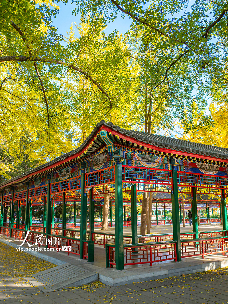 北京:中山公园美景迎客来