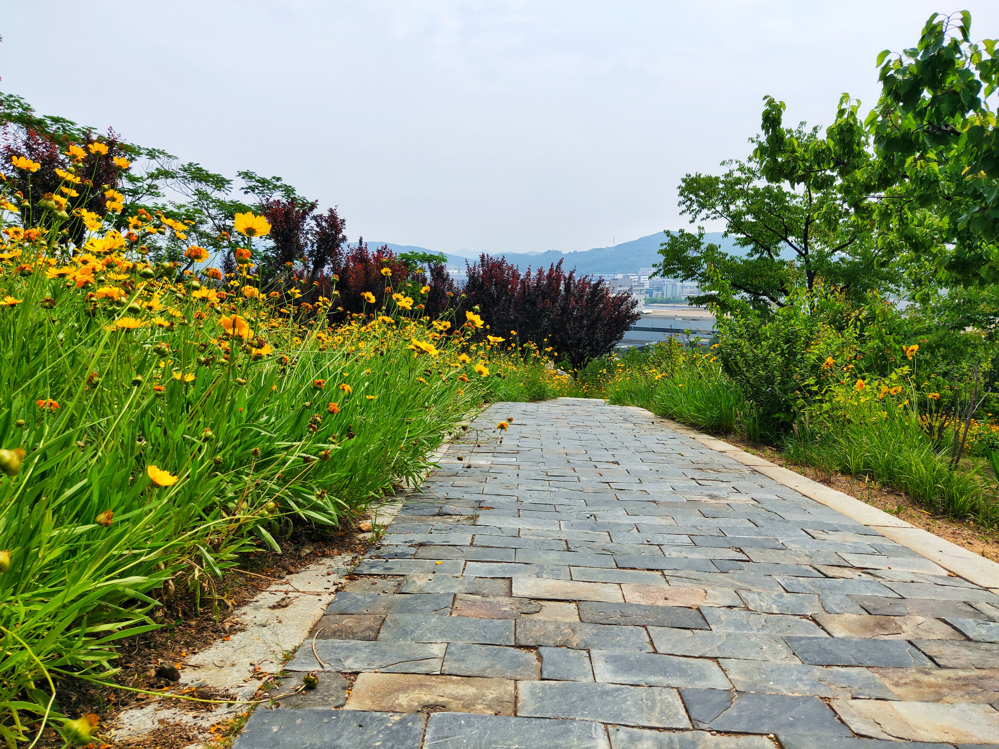 大连董家沟植物园