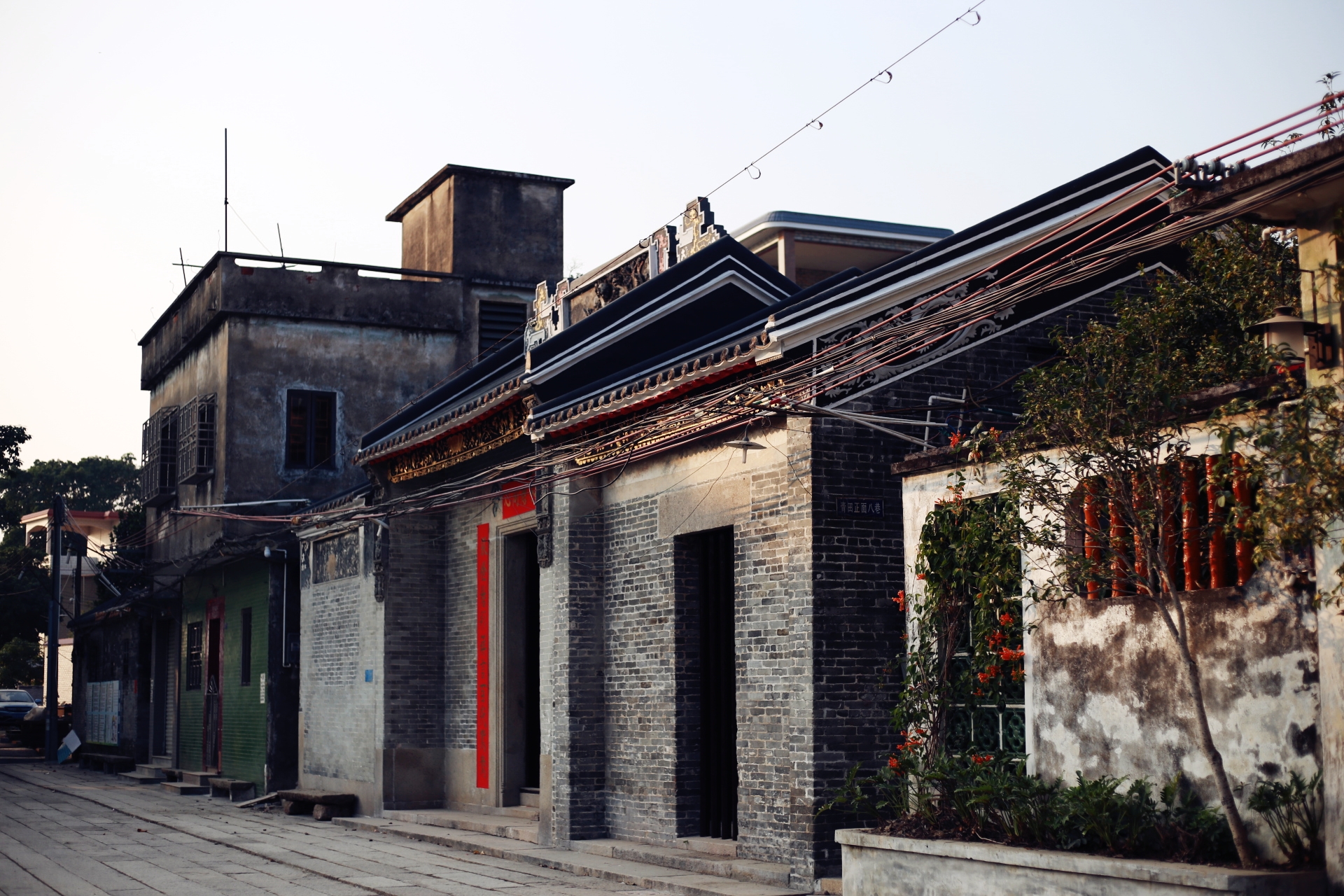 顺德杏坛青田村随拍