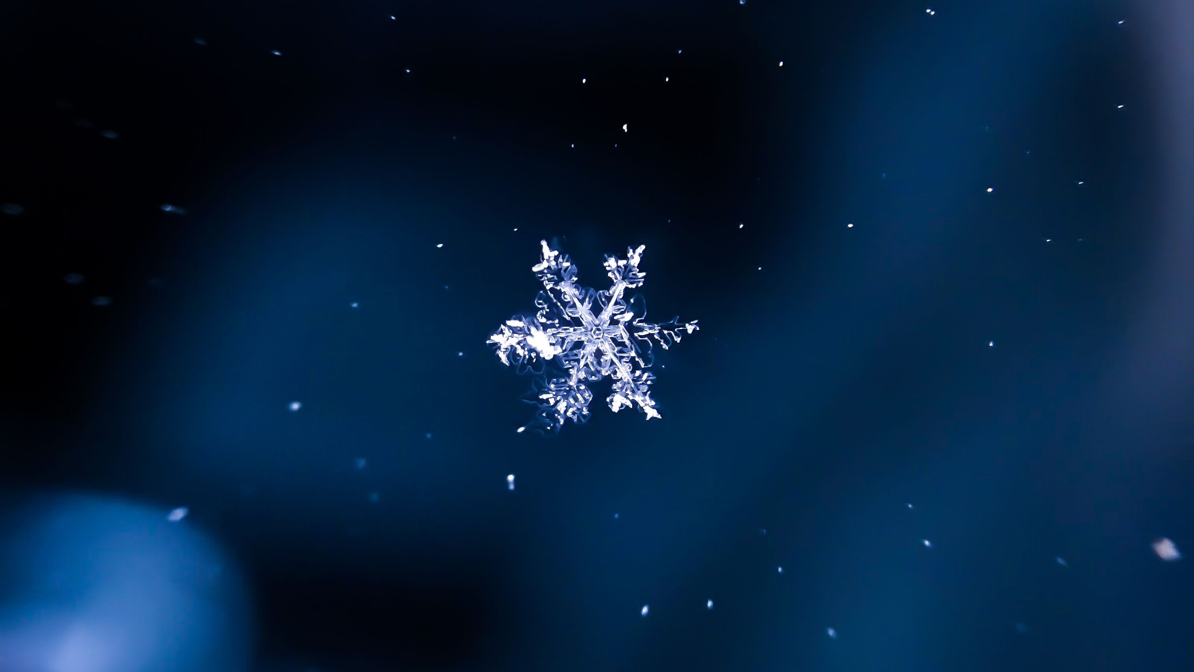 微距镜头下的雪花结晶