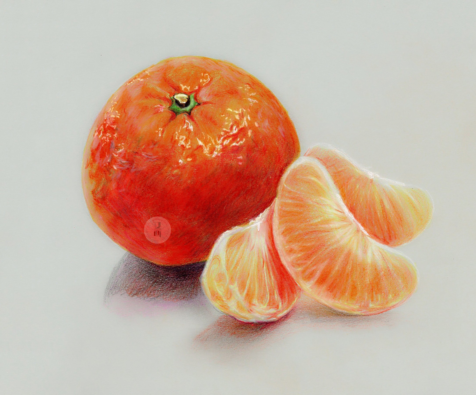 彩铅 水果写实绘画合集