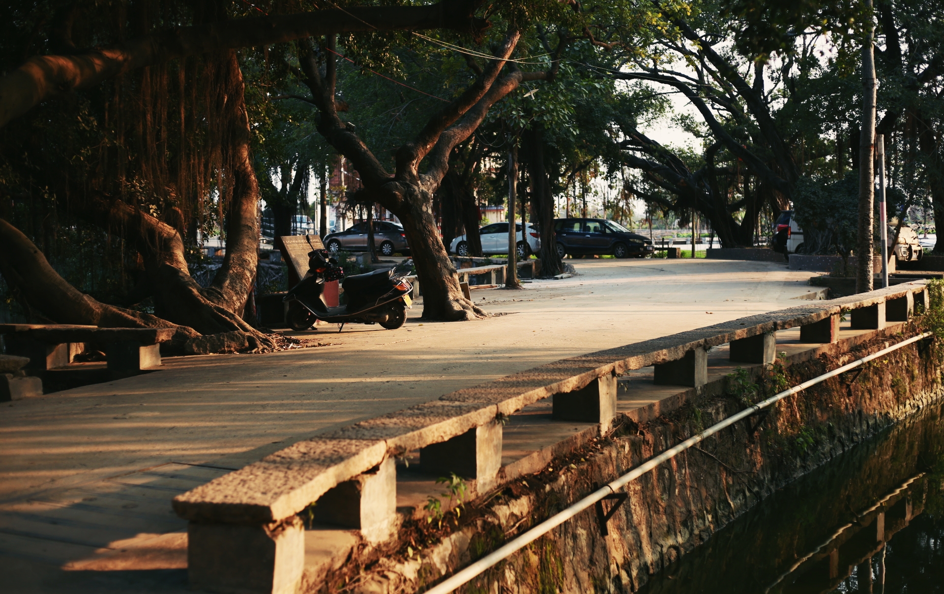 顺德杏坛青田村随拍