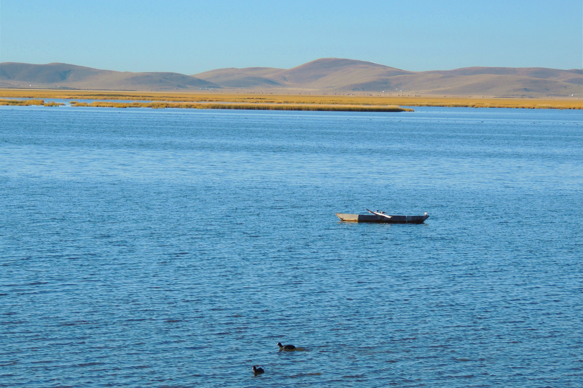花湖——若尔盖大草原一碧万顷,梦幻花湖烟波浩渺.