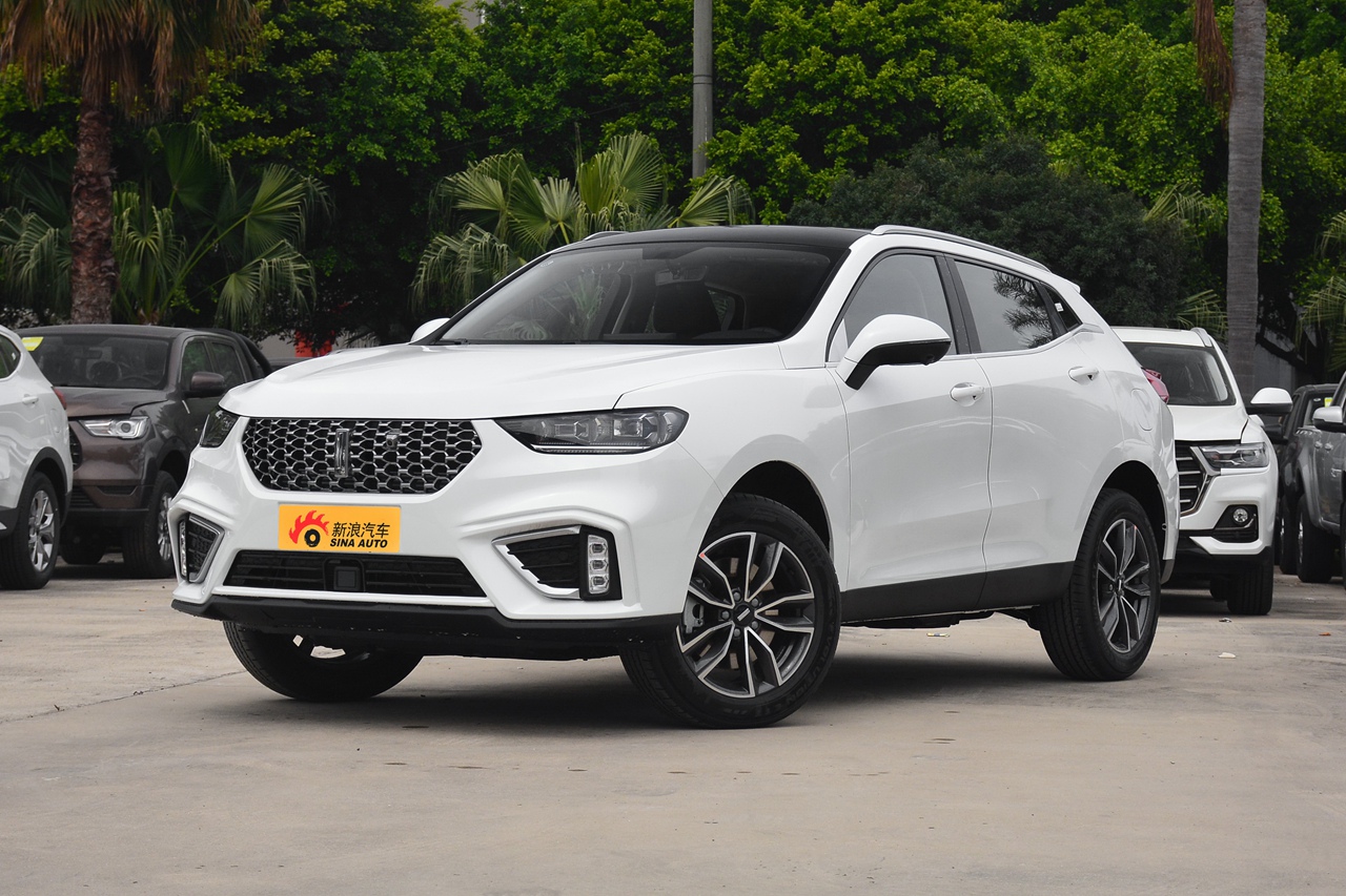 2021款wey vv5 1.5t自动两驱颜先锋