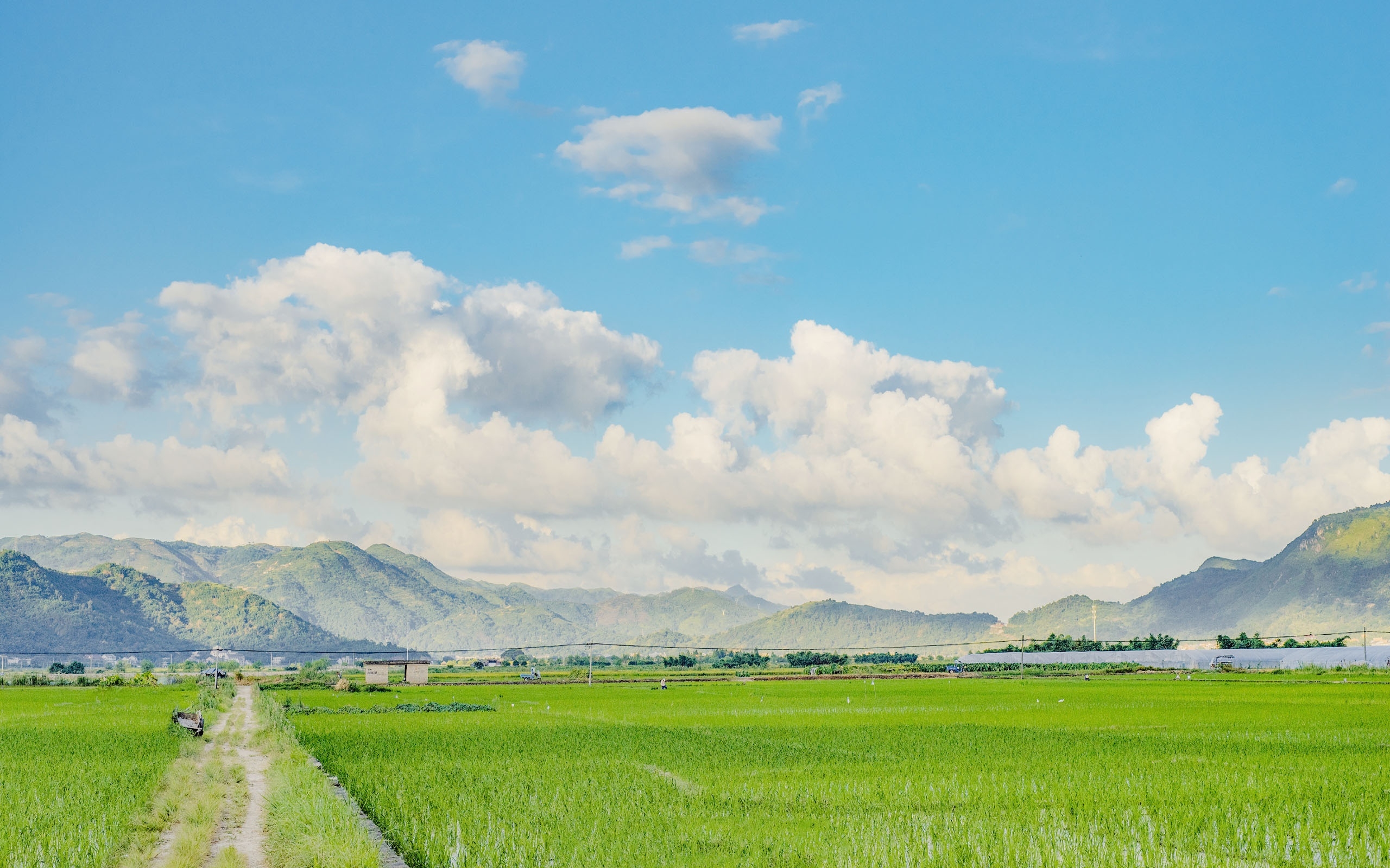 自然清新的田园风光