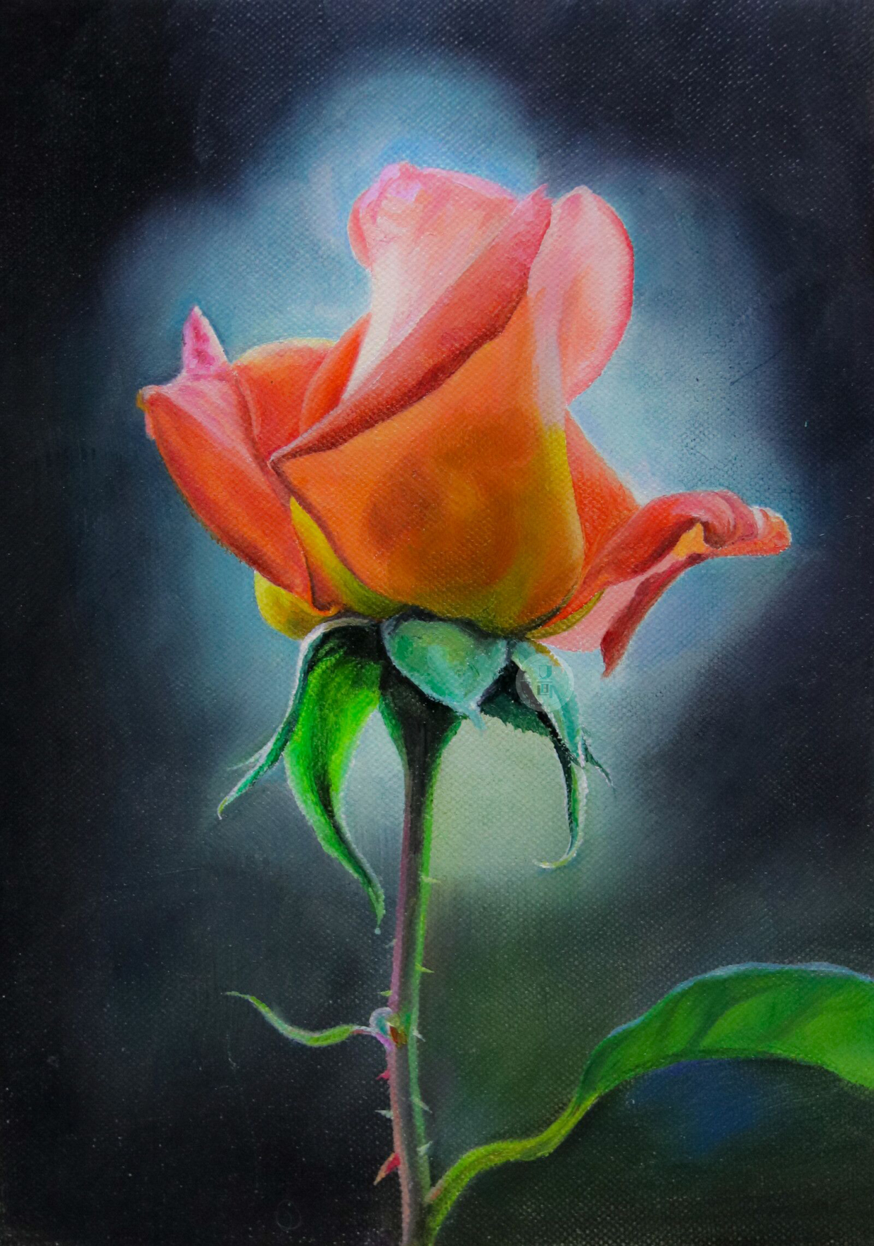 油画 花卉绘画合集