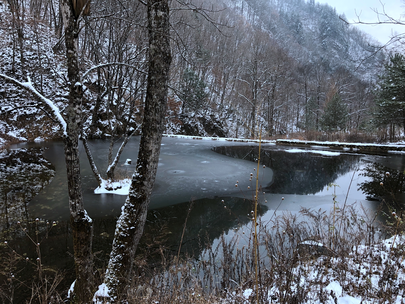 趁雪未化,拍黑河森林公园美丽雪景