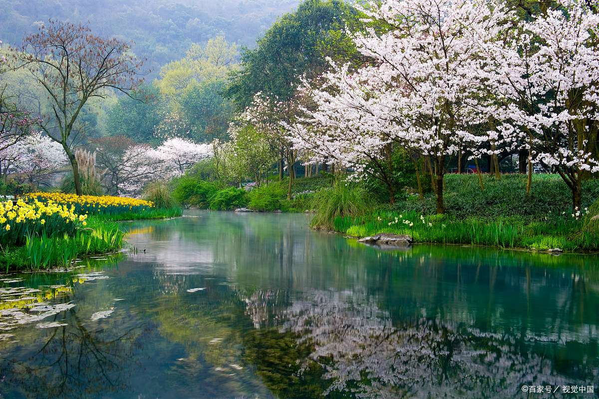 万树江边杏,新开一夜风.——唐代:王涯