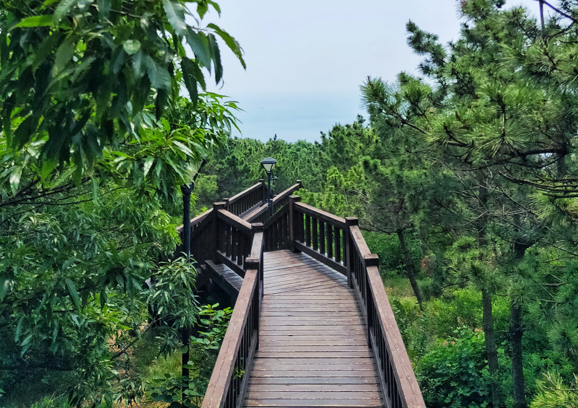 大连旅游之童牛岭