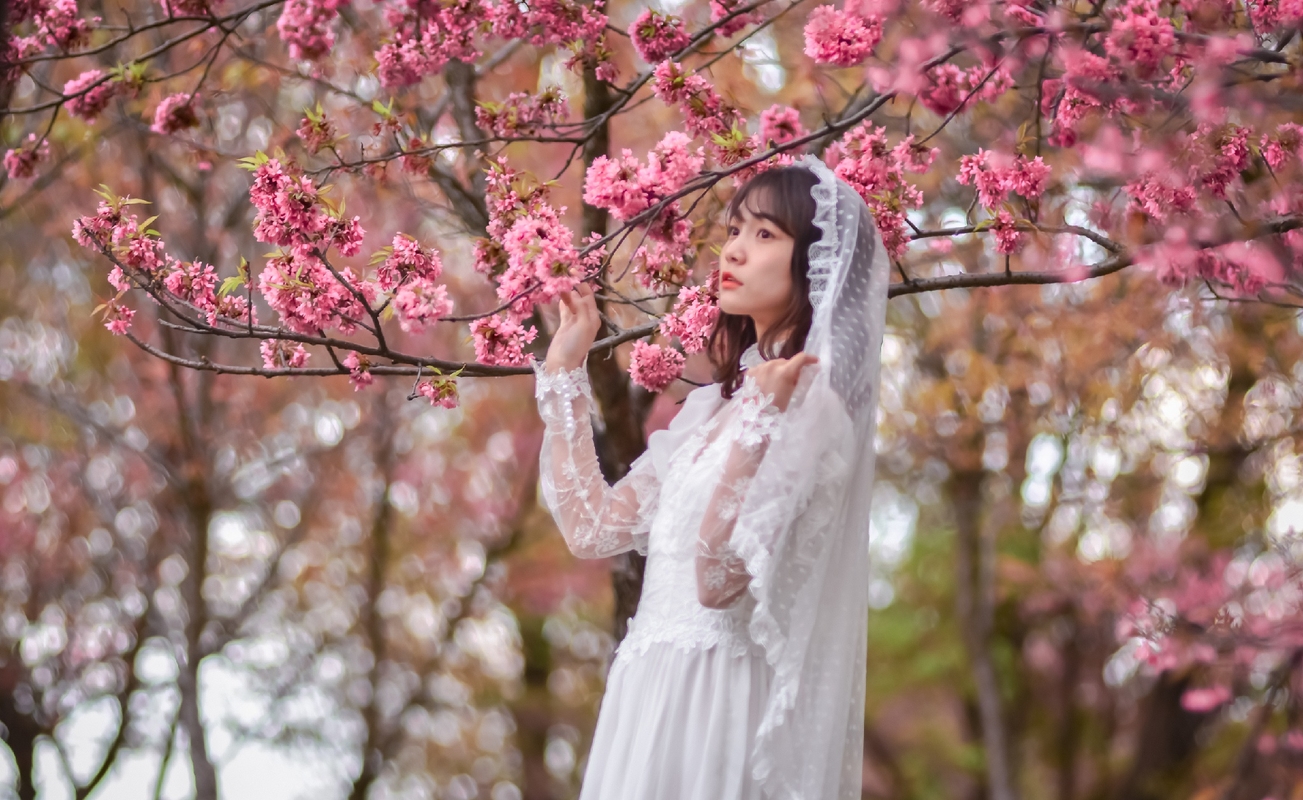女孩摄影:在桃花树下