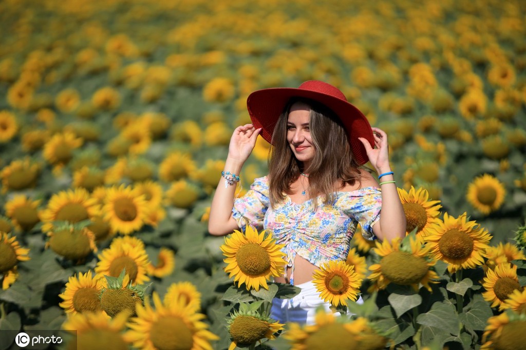 土耳其举行向日葵和稻草人节 美女鲜花两相映