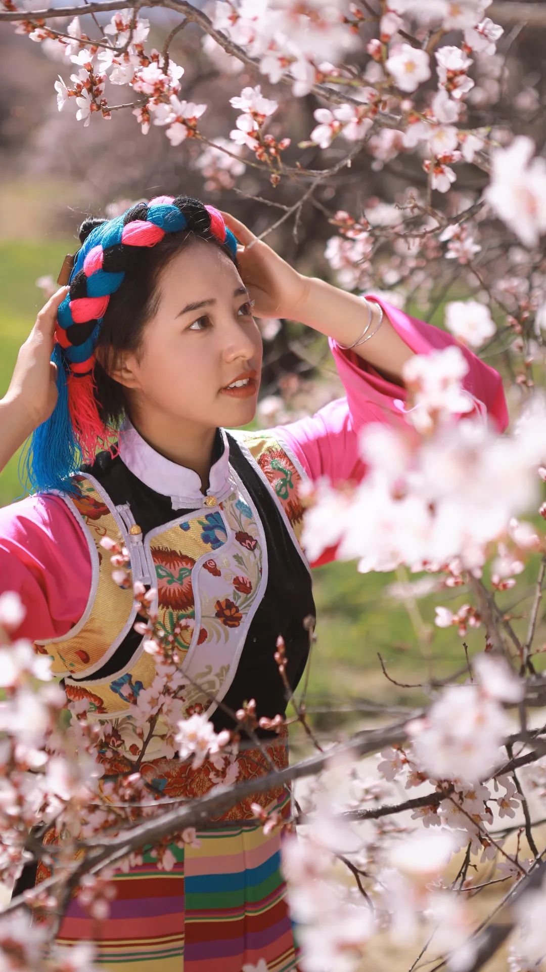 第7届林芝15位桃花仙子