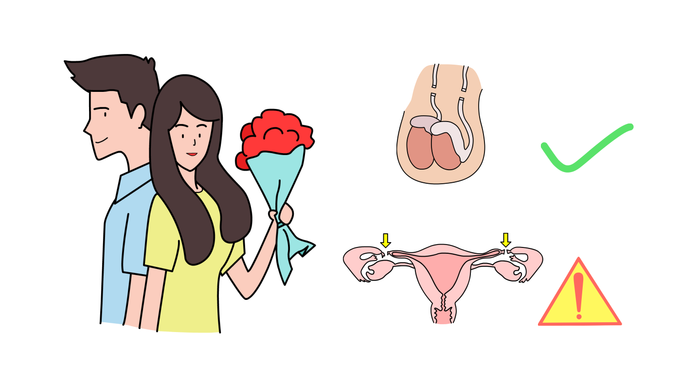 结扎到底是什么