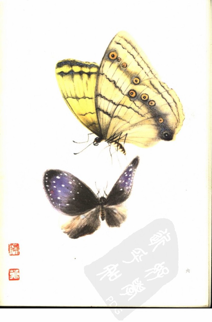 画家笔下的蝴蝶,栩栩如生「中远博学书画教育」