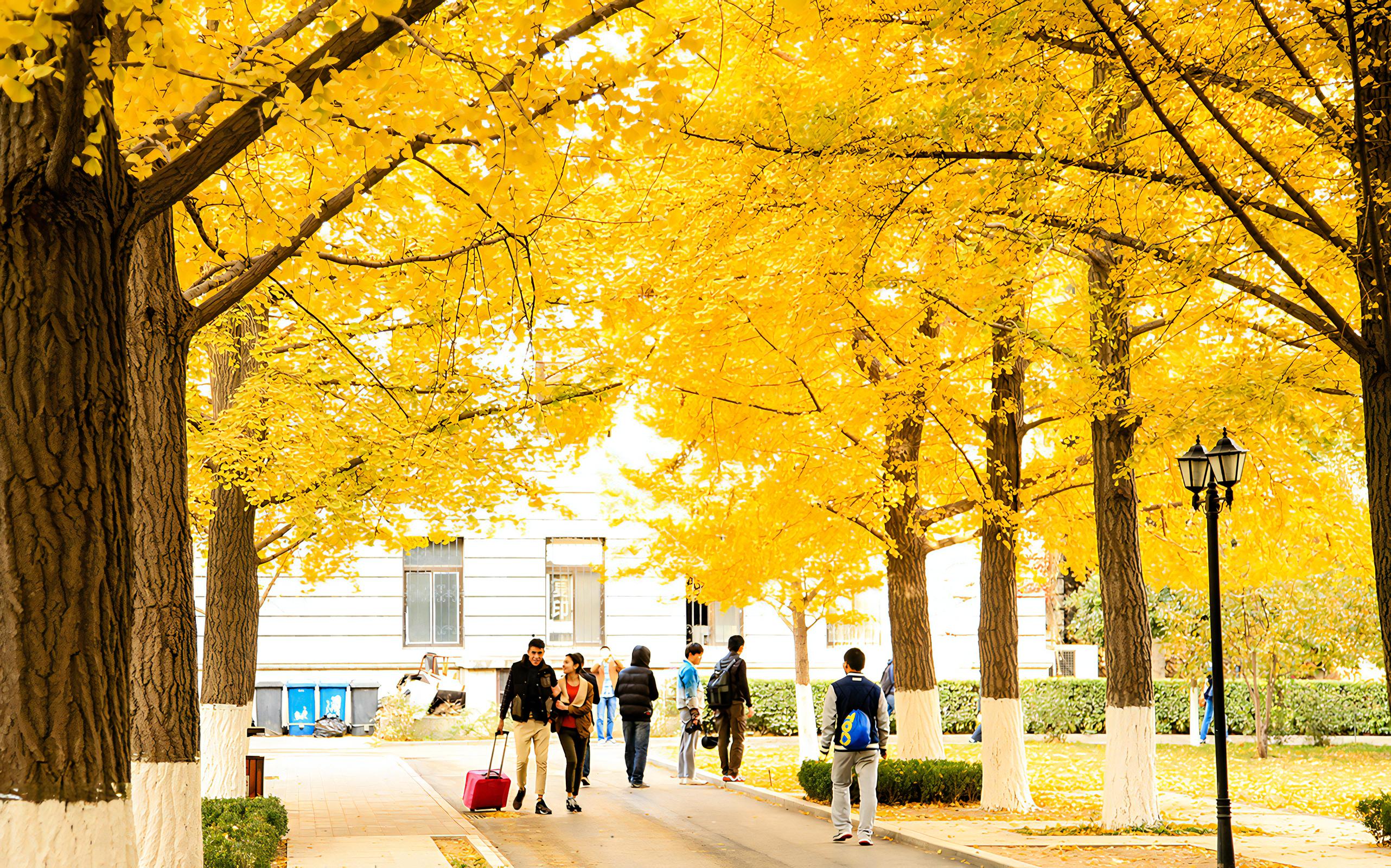 高校风光:北京科技大学