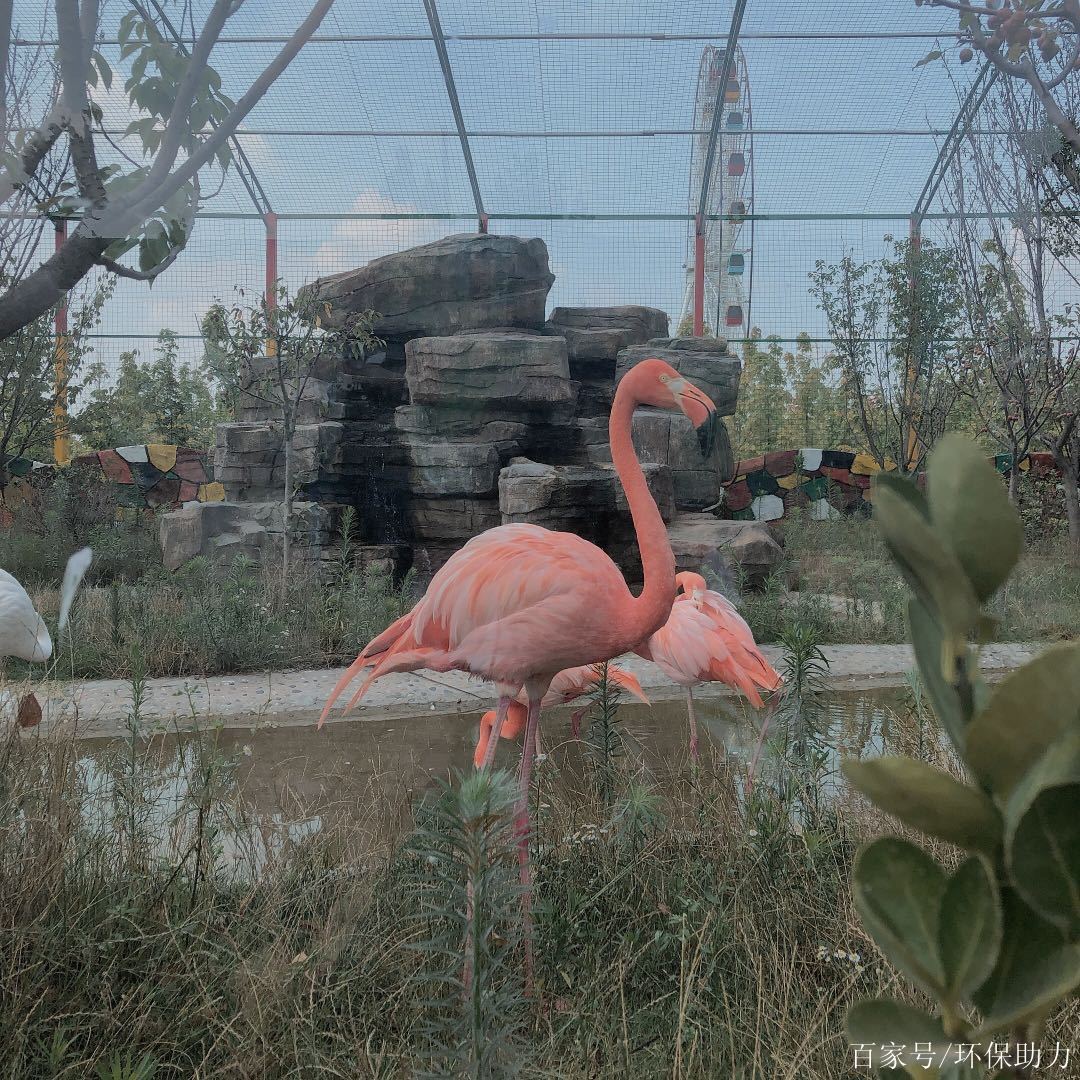 諸城野生動物園遊覽記錄