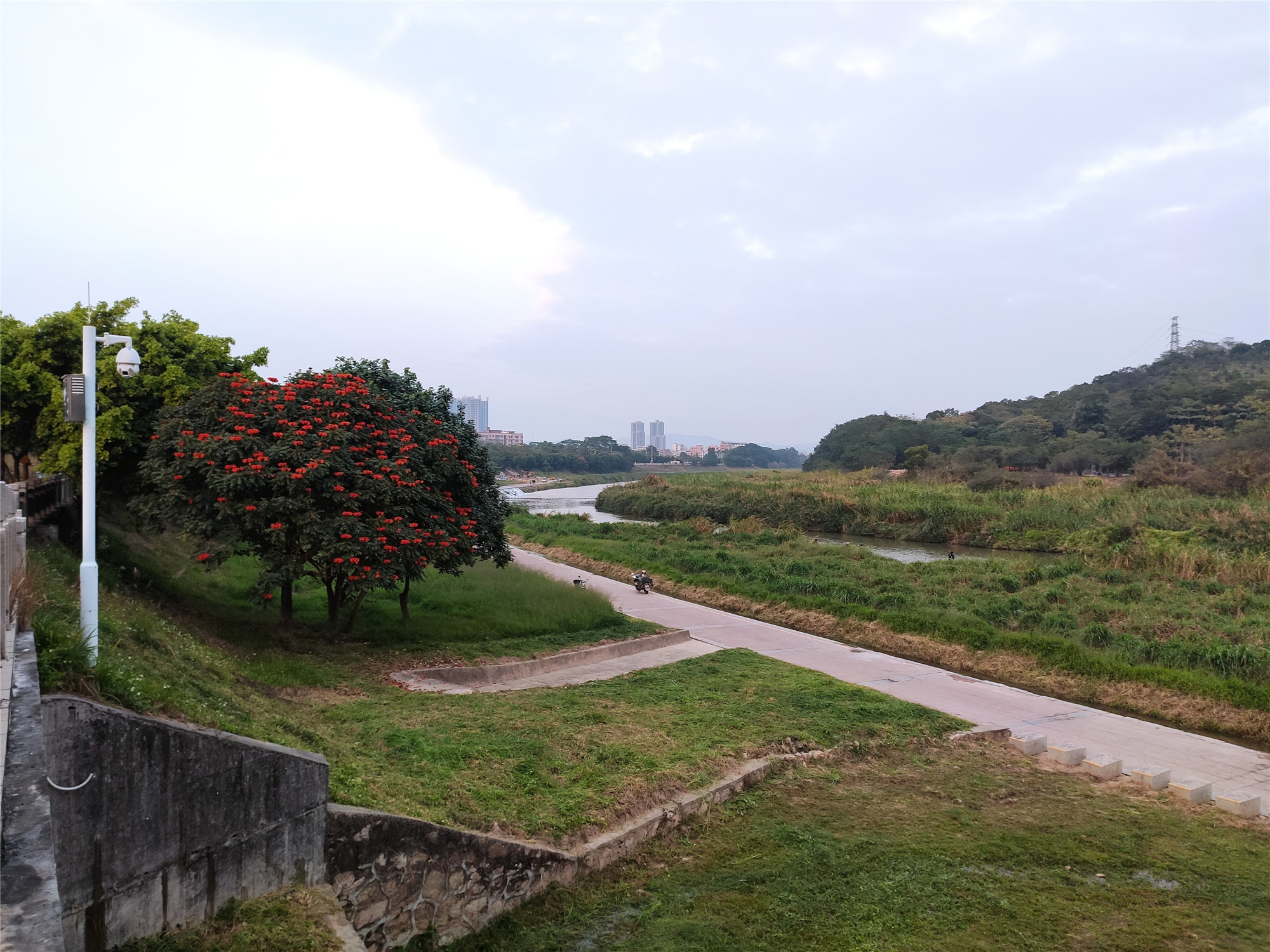 深秋的龙岗湿地公园,虽然不见了绿草,但仍显现出不一样的美