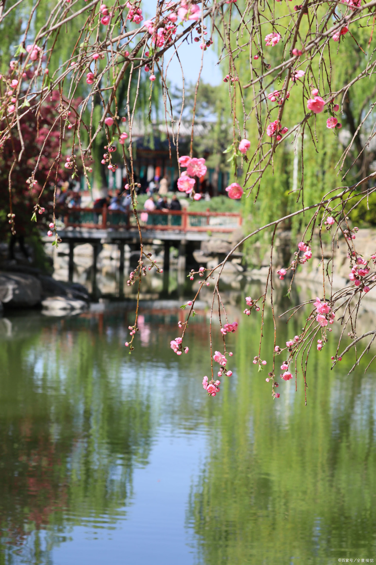 双飞燕子几时回?夹岸桃花蘸水开.——宋代:徐俯