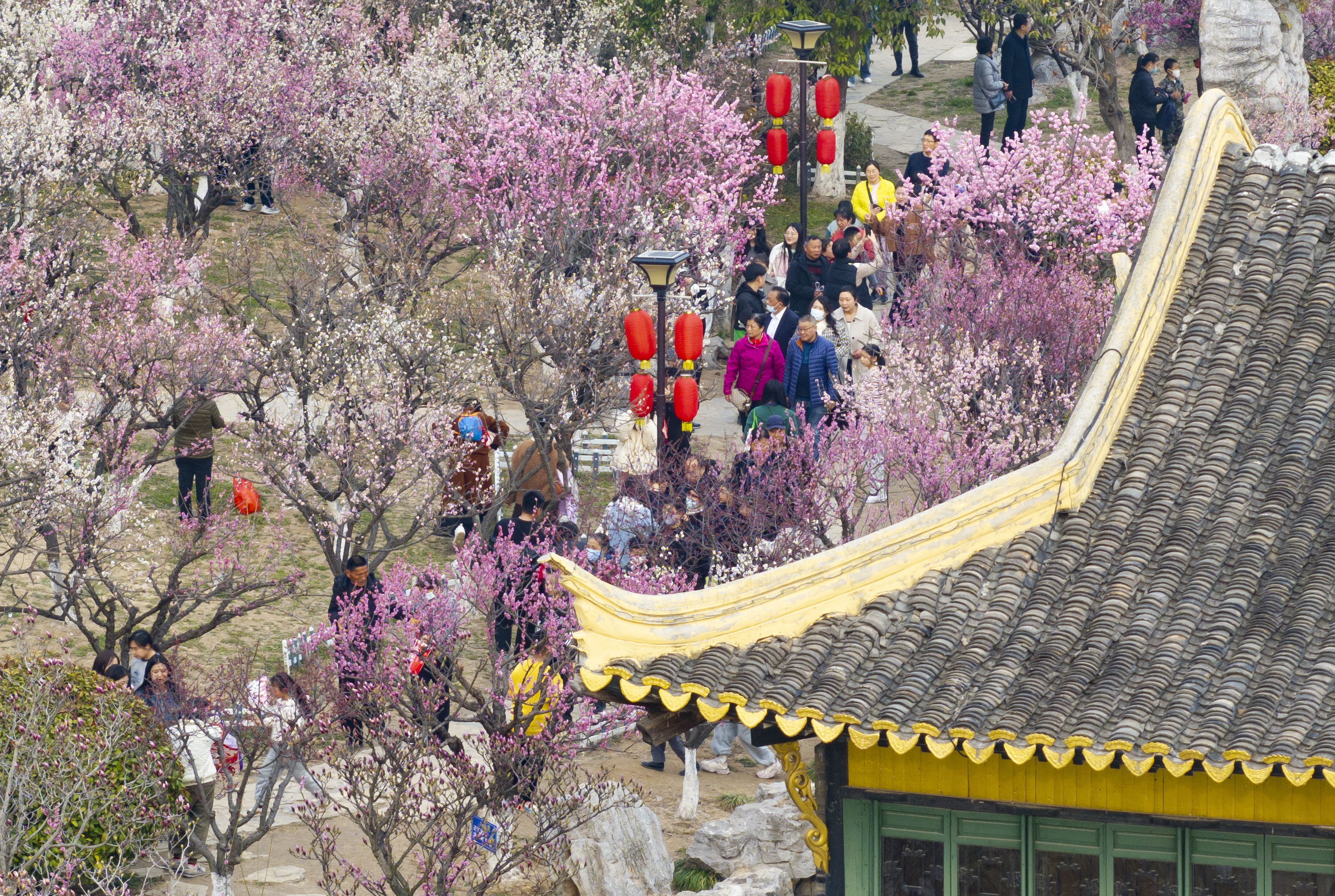 伊芦山风景区梅园门票图片