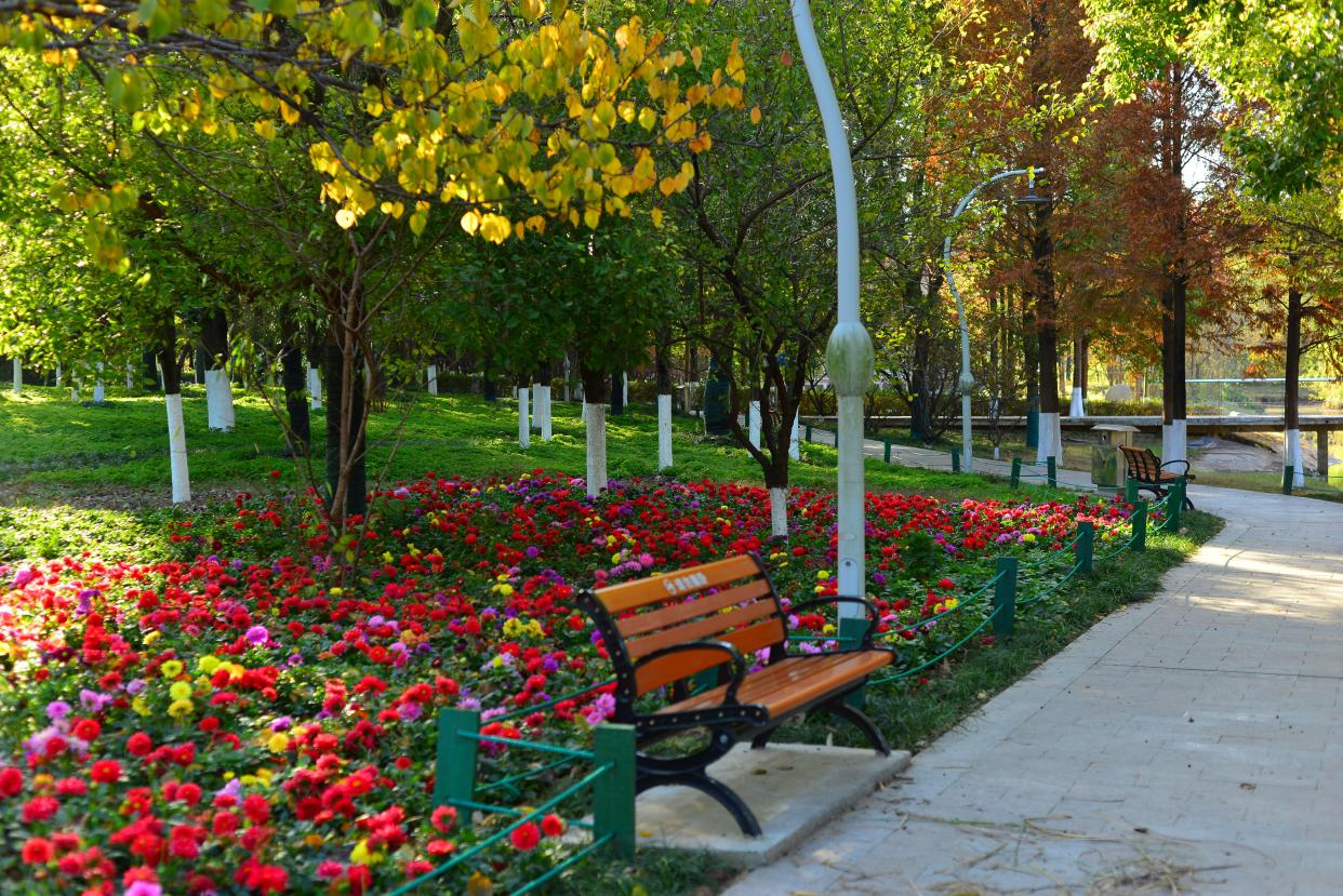 阜阳三角洲公园