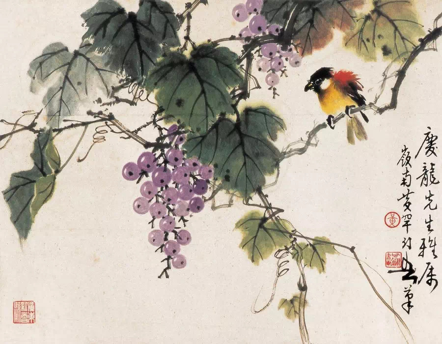 金秋十月,葡萄晶莹如玛瑙,飘香吸引小鸟,黄幻吾国画花鸟画欣赏
