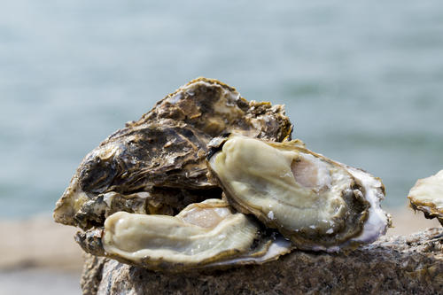 舌尖上的烟台|东莱鲜香之旅