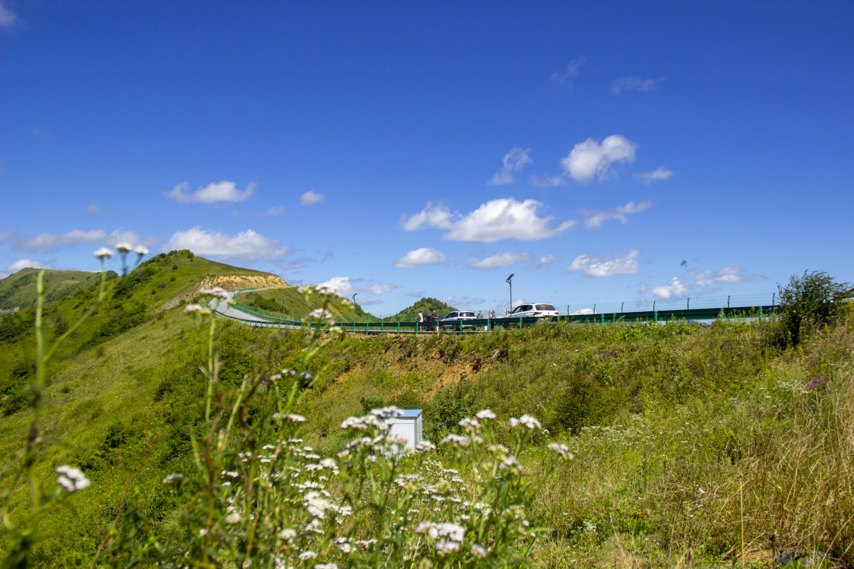 正阳高山草甸露营地(免费)(陕西平利)