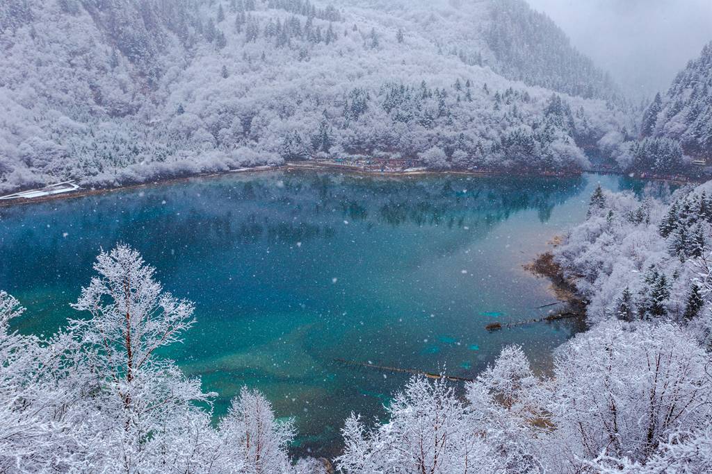 四川九寨沟迎春雪 蓝白呼应造就梦幻冰雪世界