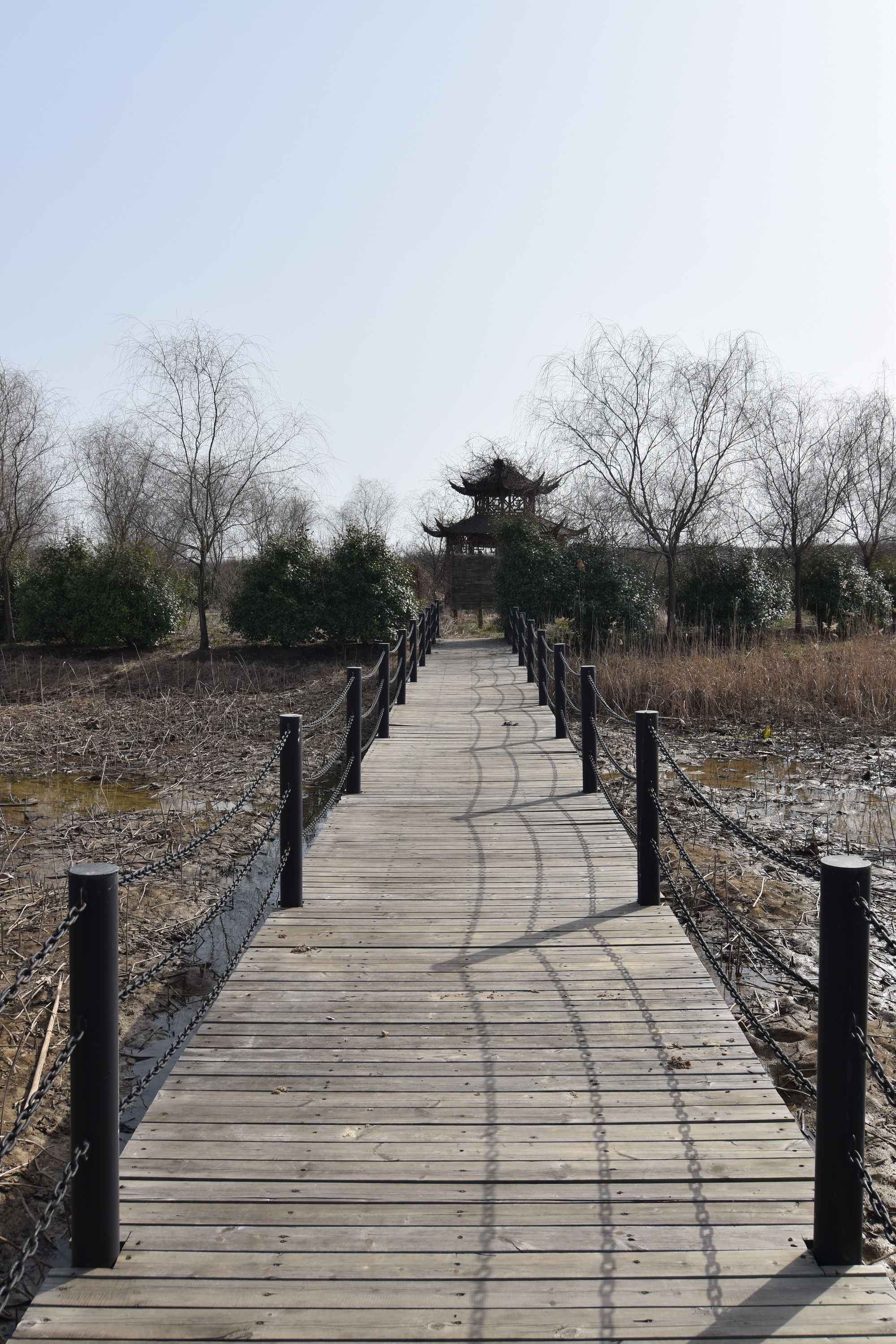 花千谷景区图片