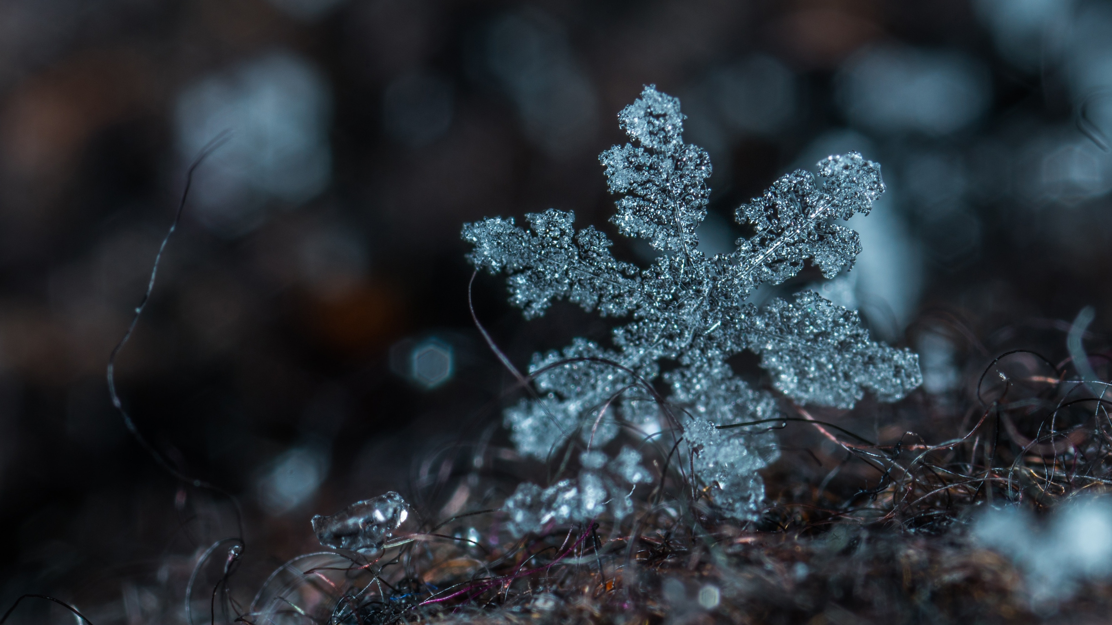 微距镜头下的雪花结晶