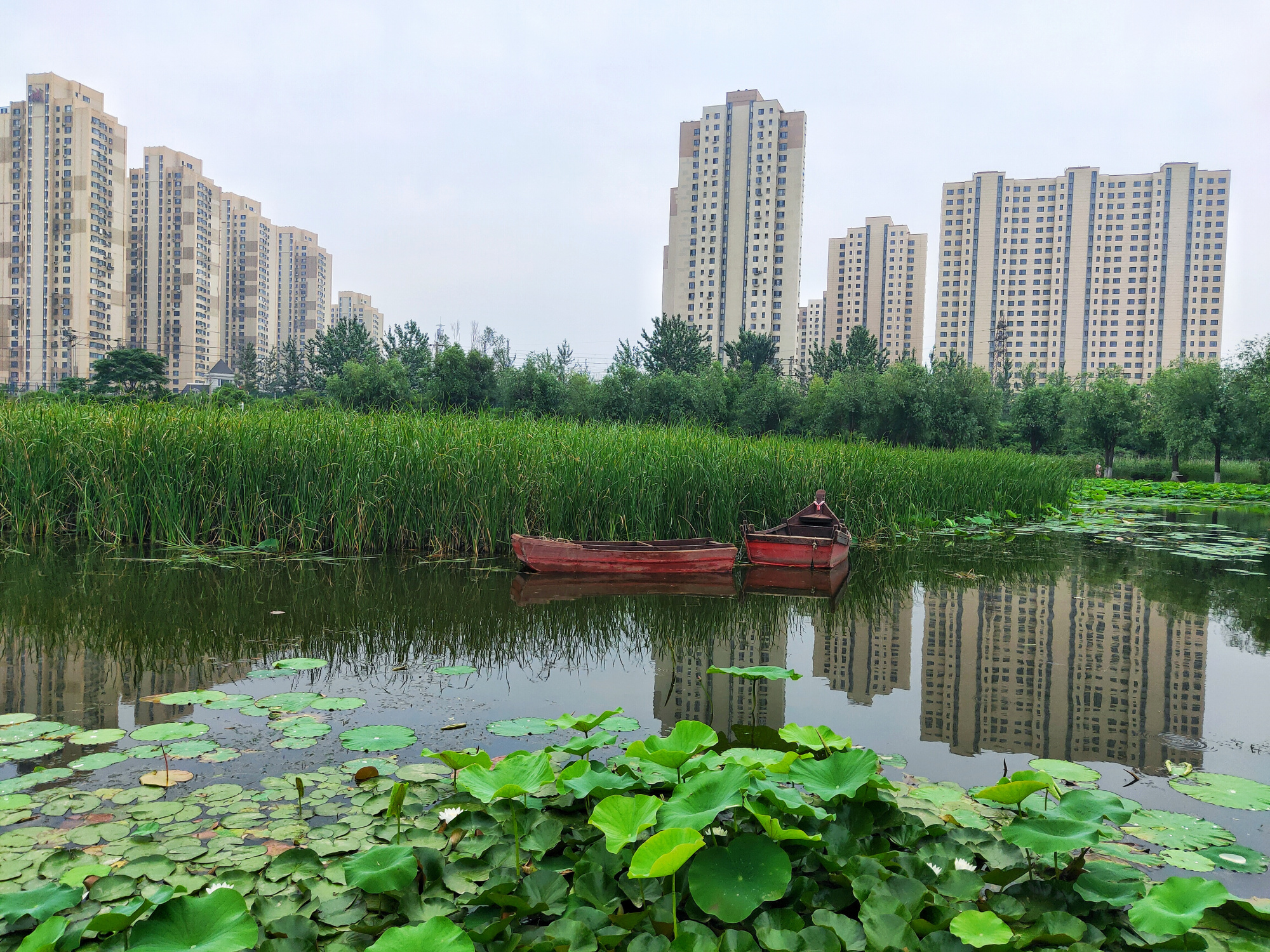 大连前关湿地公园